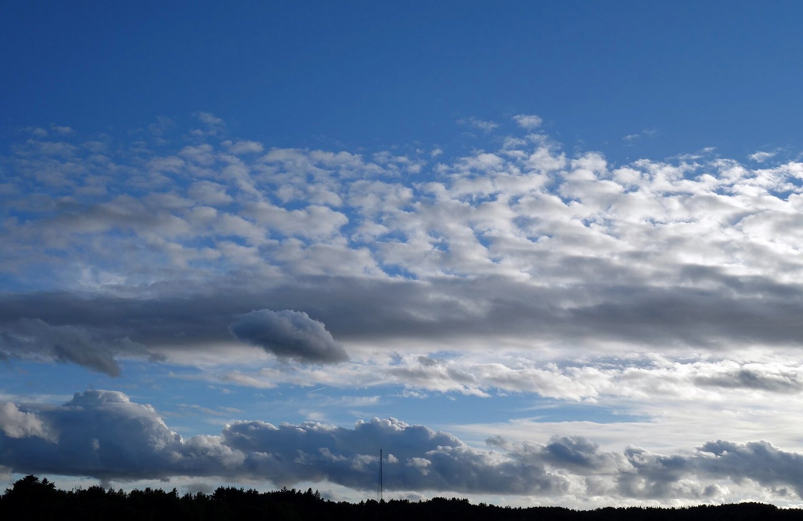 White cumulus clouds scattered across a bright blue sky, viewed from below with soft light on the cloud edges.