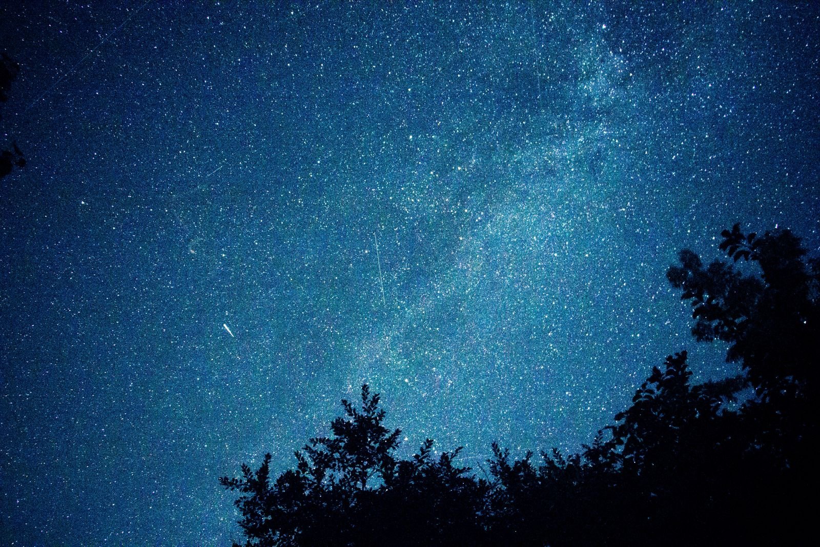 A star-filled night sky with silhouetted treetops and a faint meteor streak.