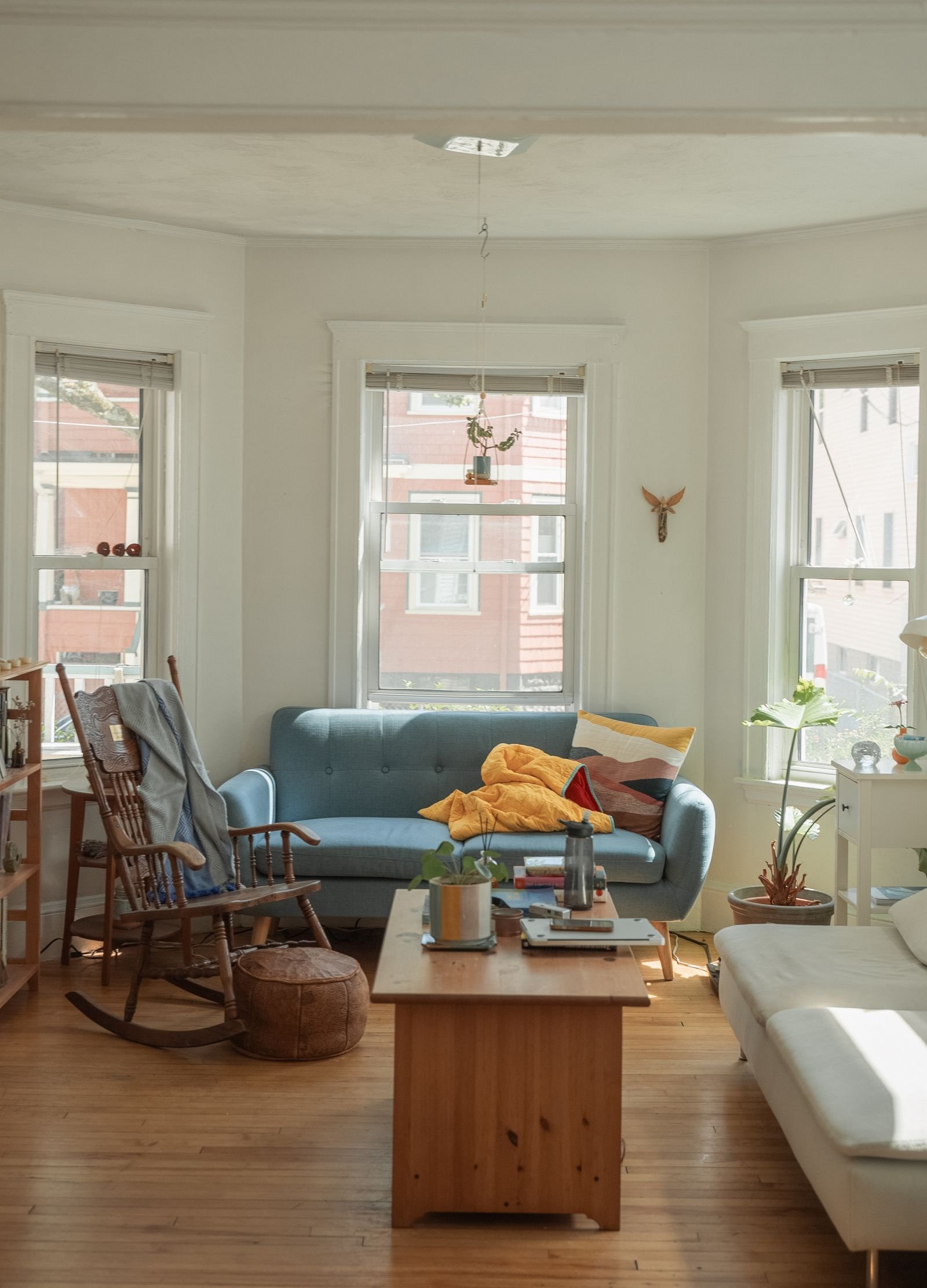 A bright living room with a blue sofa and natural light from tall windows