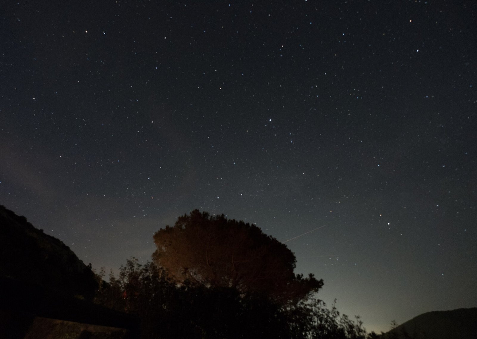 A dense field of stars over the dark landscape of Elba at night