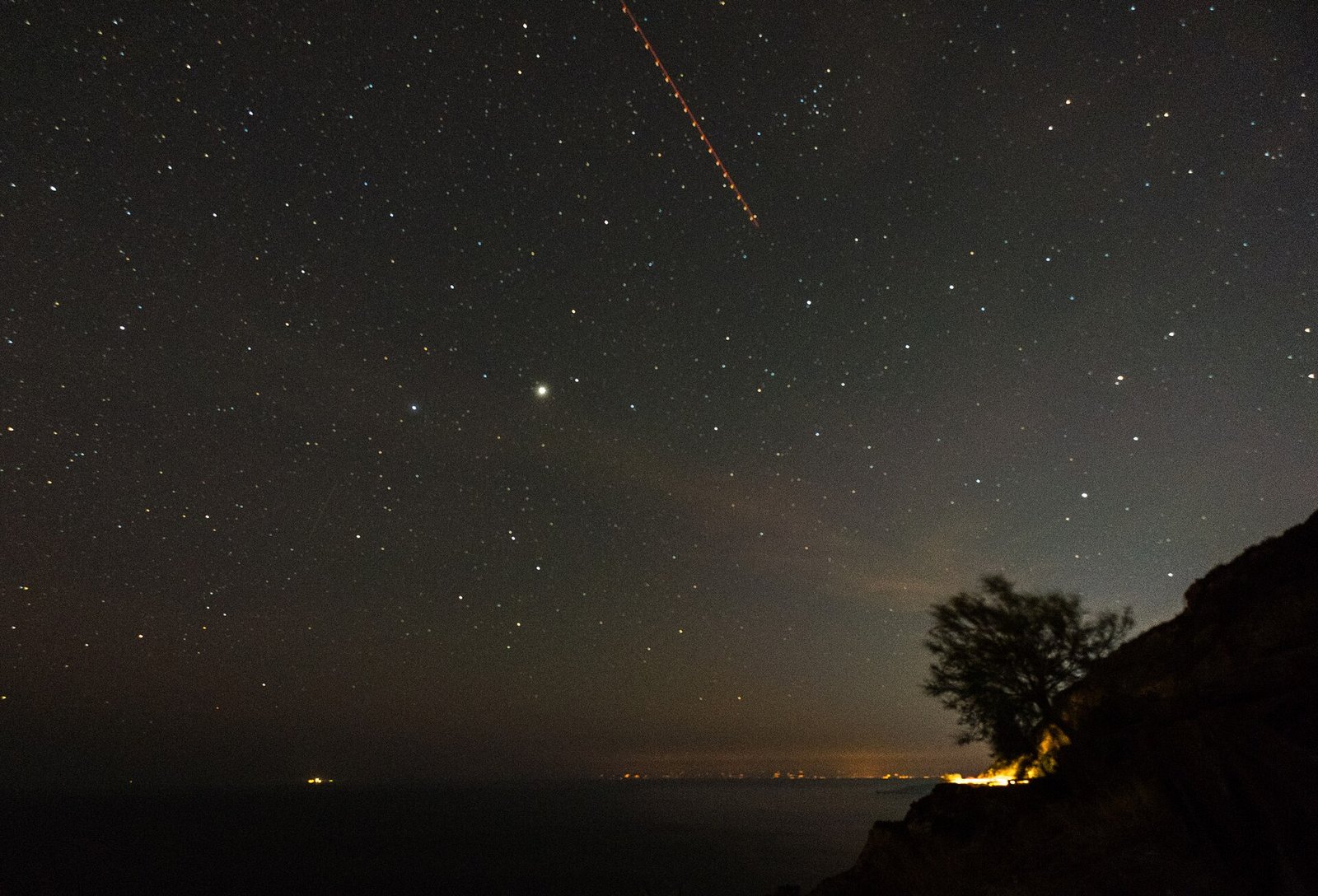 Stars over Elba at night with a silhouetted tree and glowing town lights on the horizon