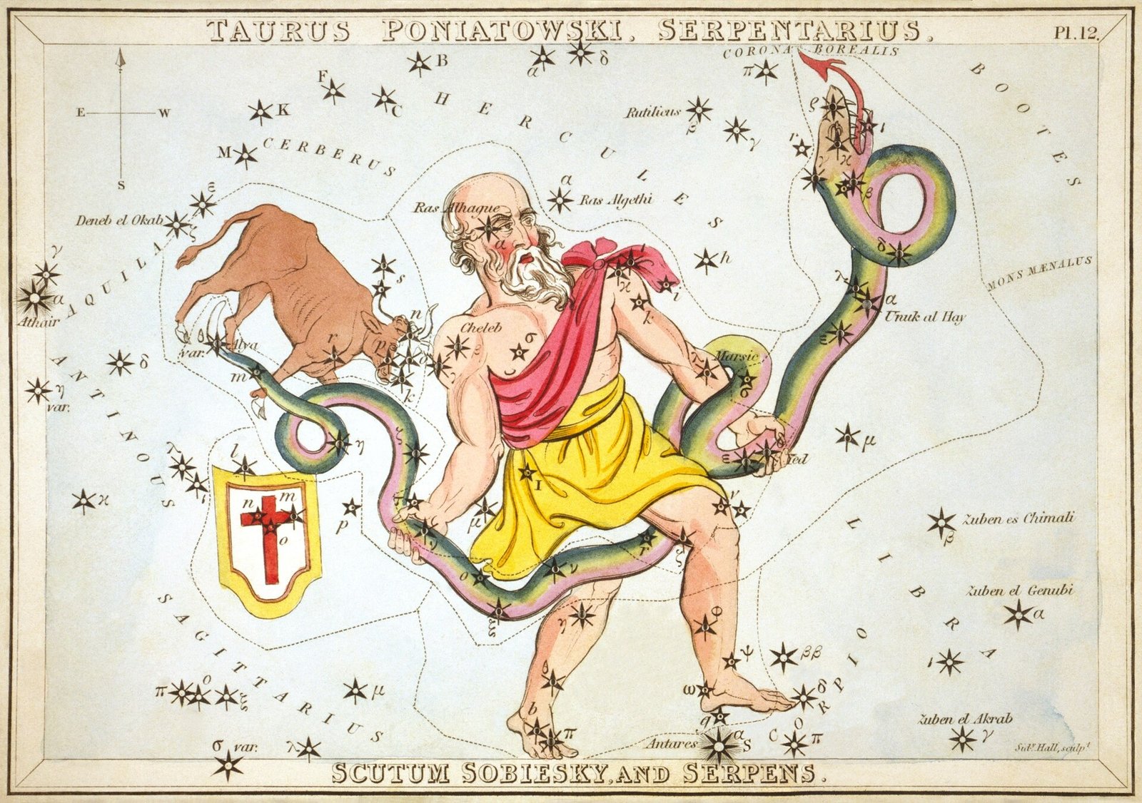 Another view of the antique Serpentarius star chart, showing the serpent-bearer among the constellations.