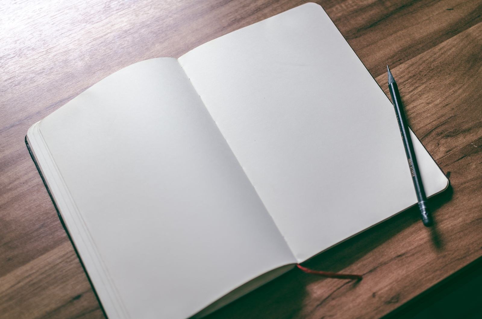 An open notebook with blank pages.