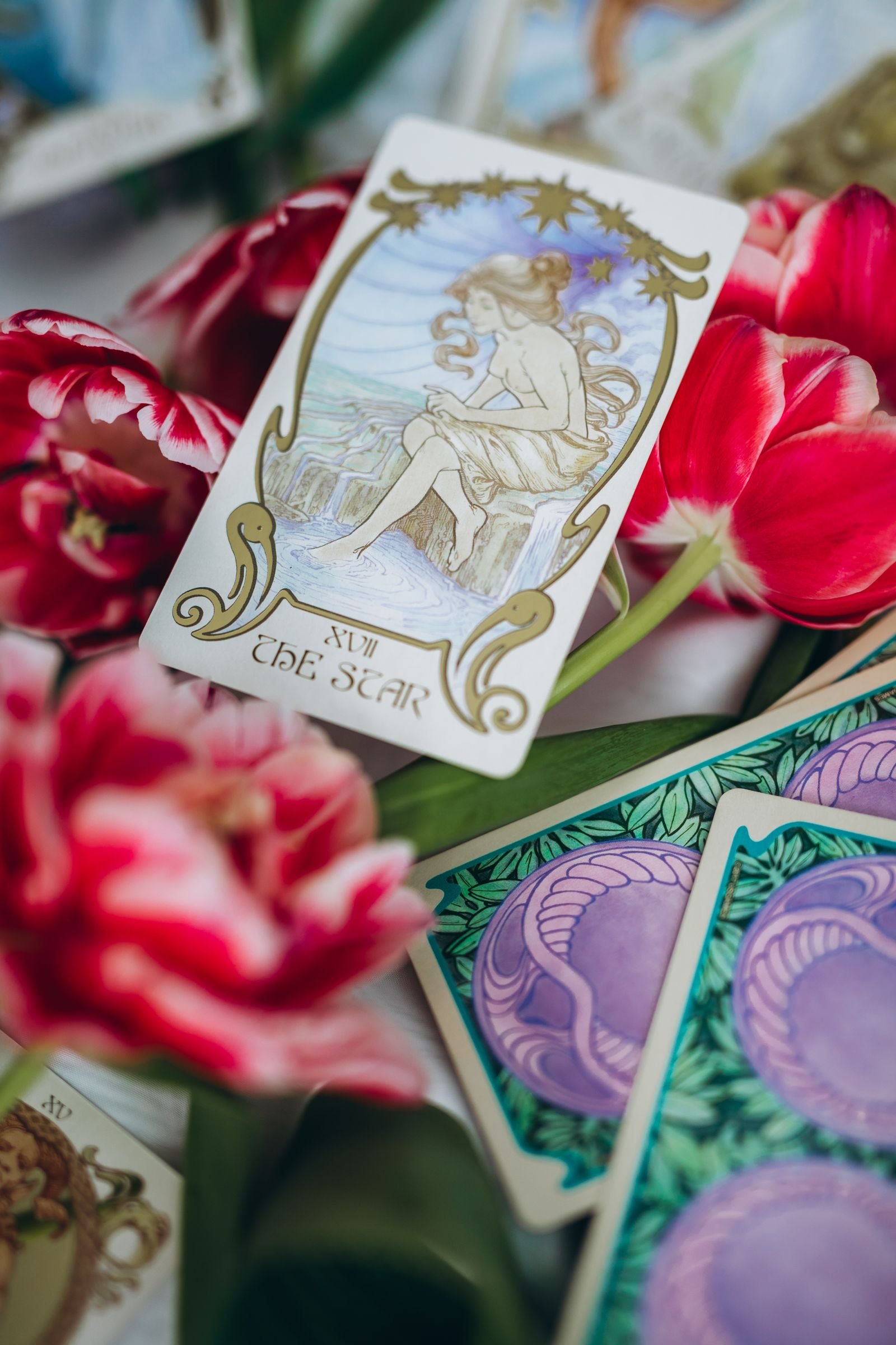 The Star tarot card (XVII) resting on pink tulips