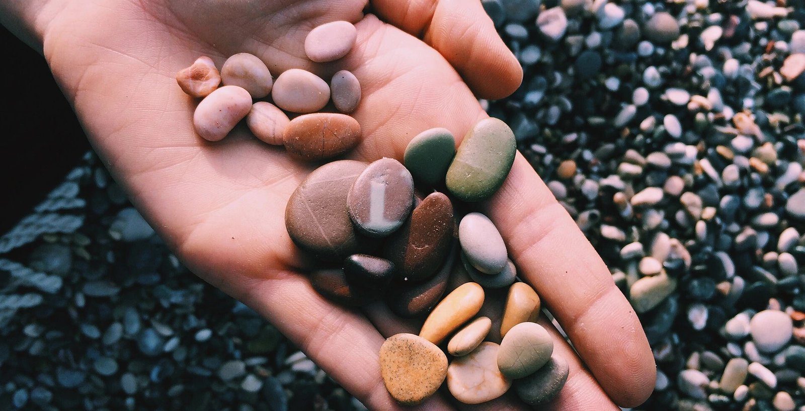 An open hand holding smooth, rounded pebbles