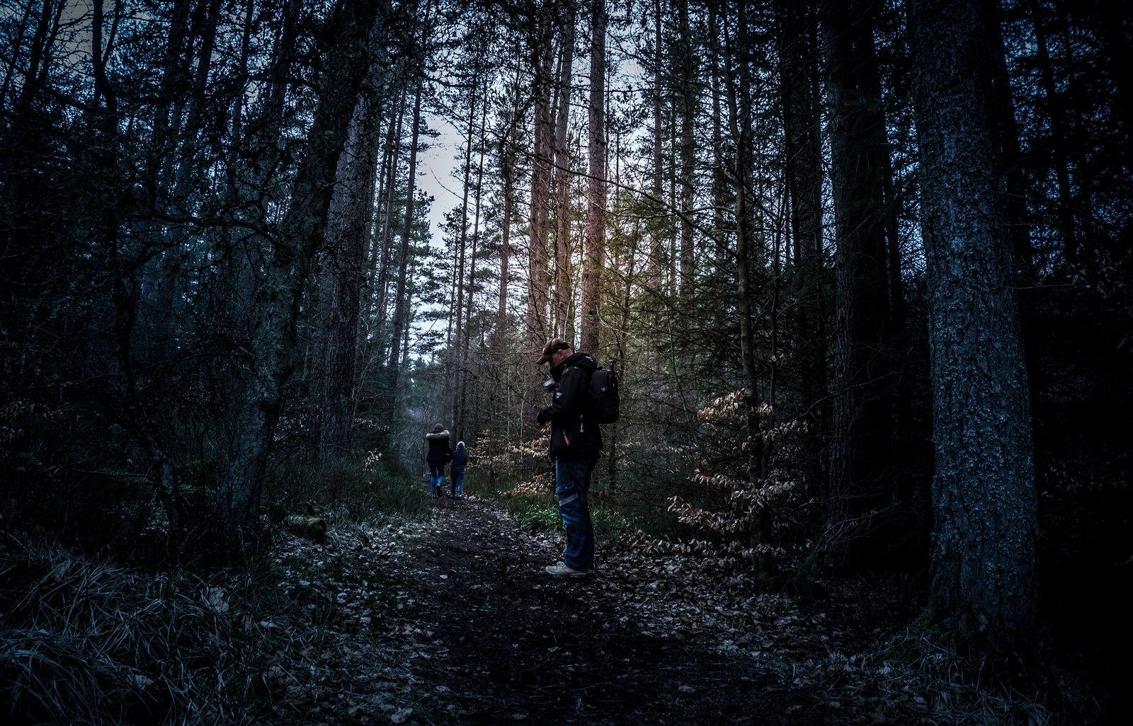 A lone hiker with a walking stick ascending a misty mountain trail at dawn.