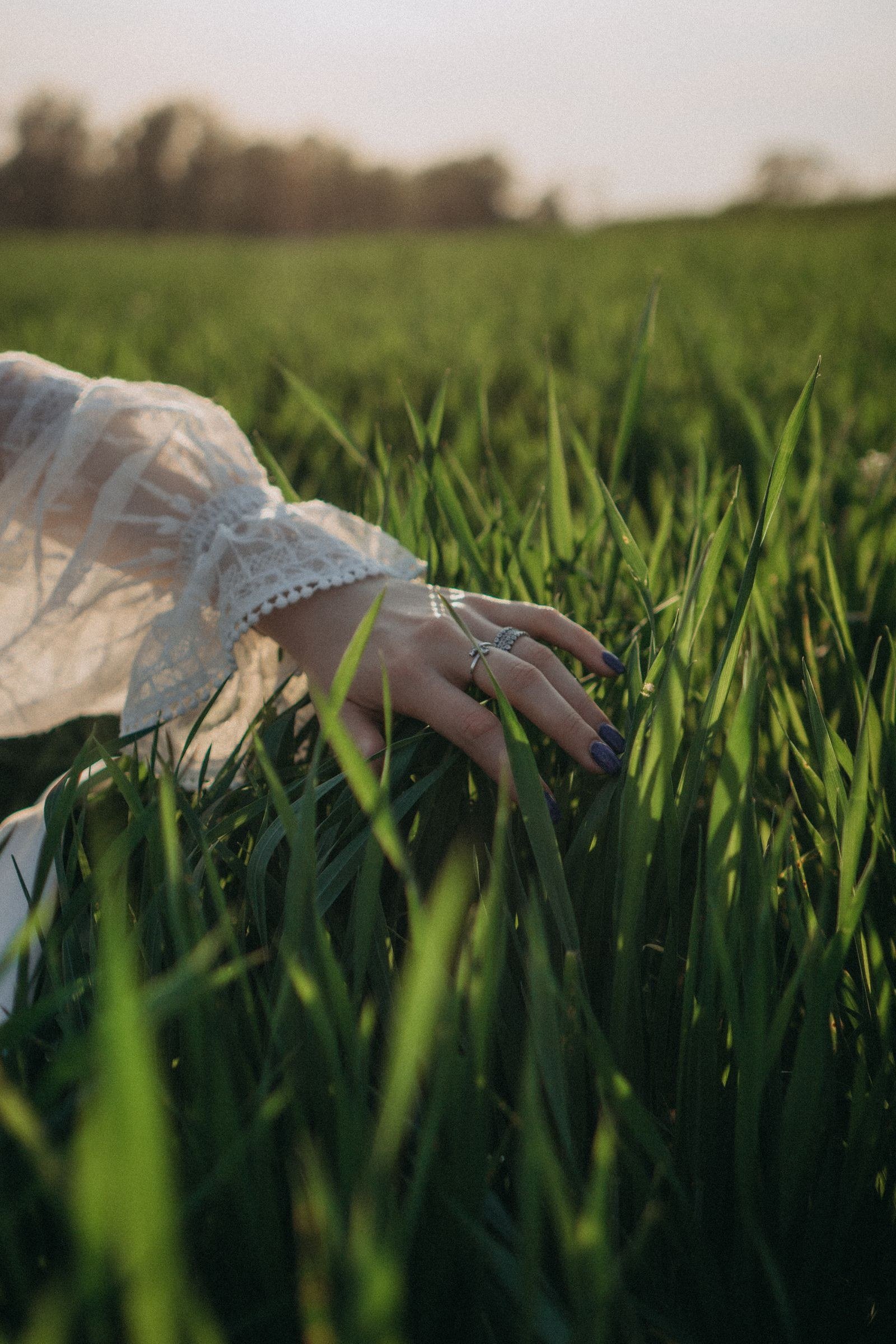 A hand brushing through grass in a field at sunset.