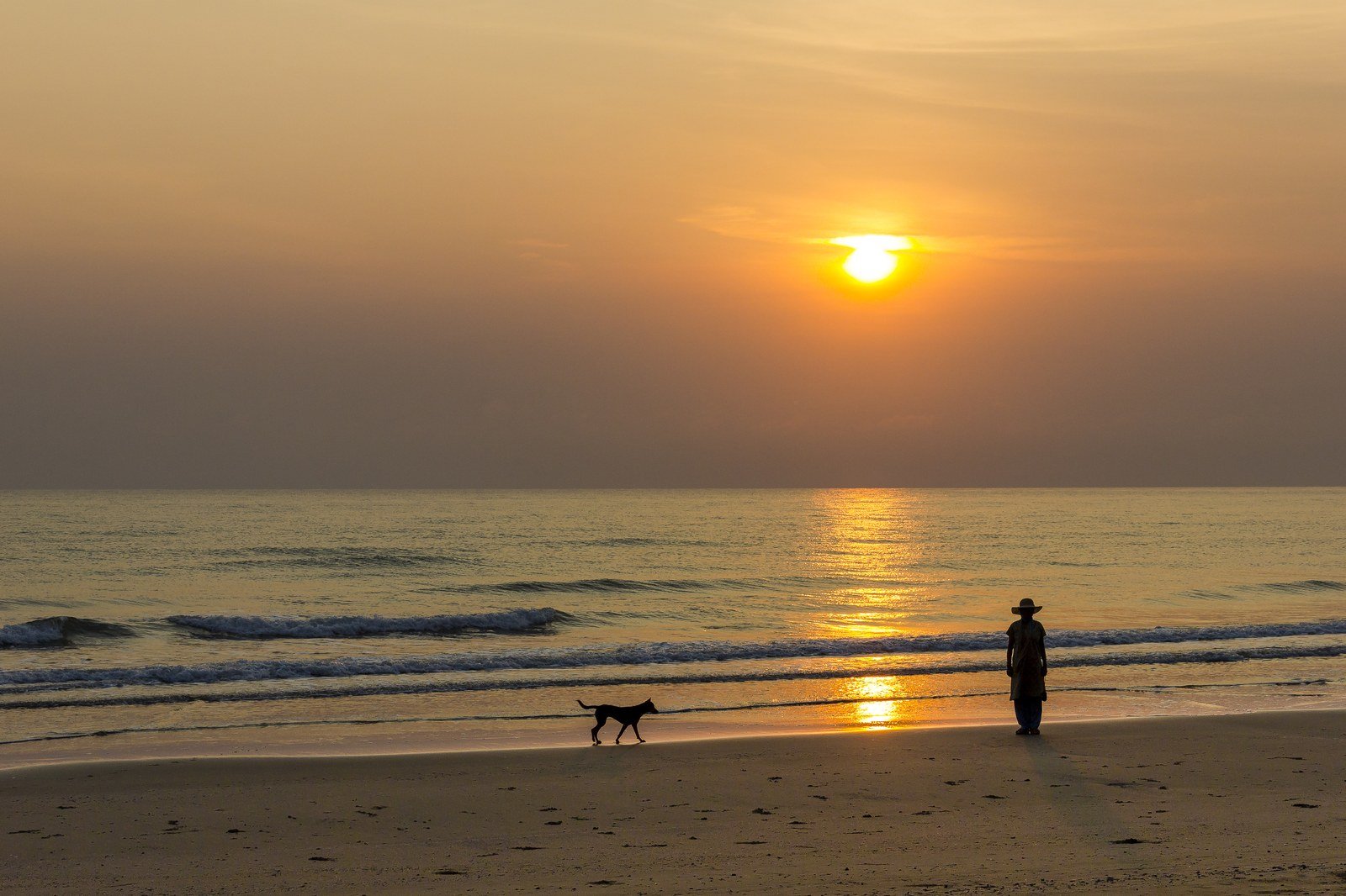 Silhouette of a person and a dog walking alone on a beach at sunset over the ocean