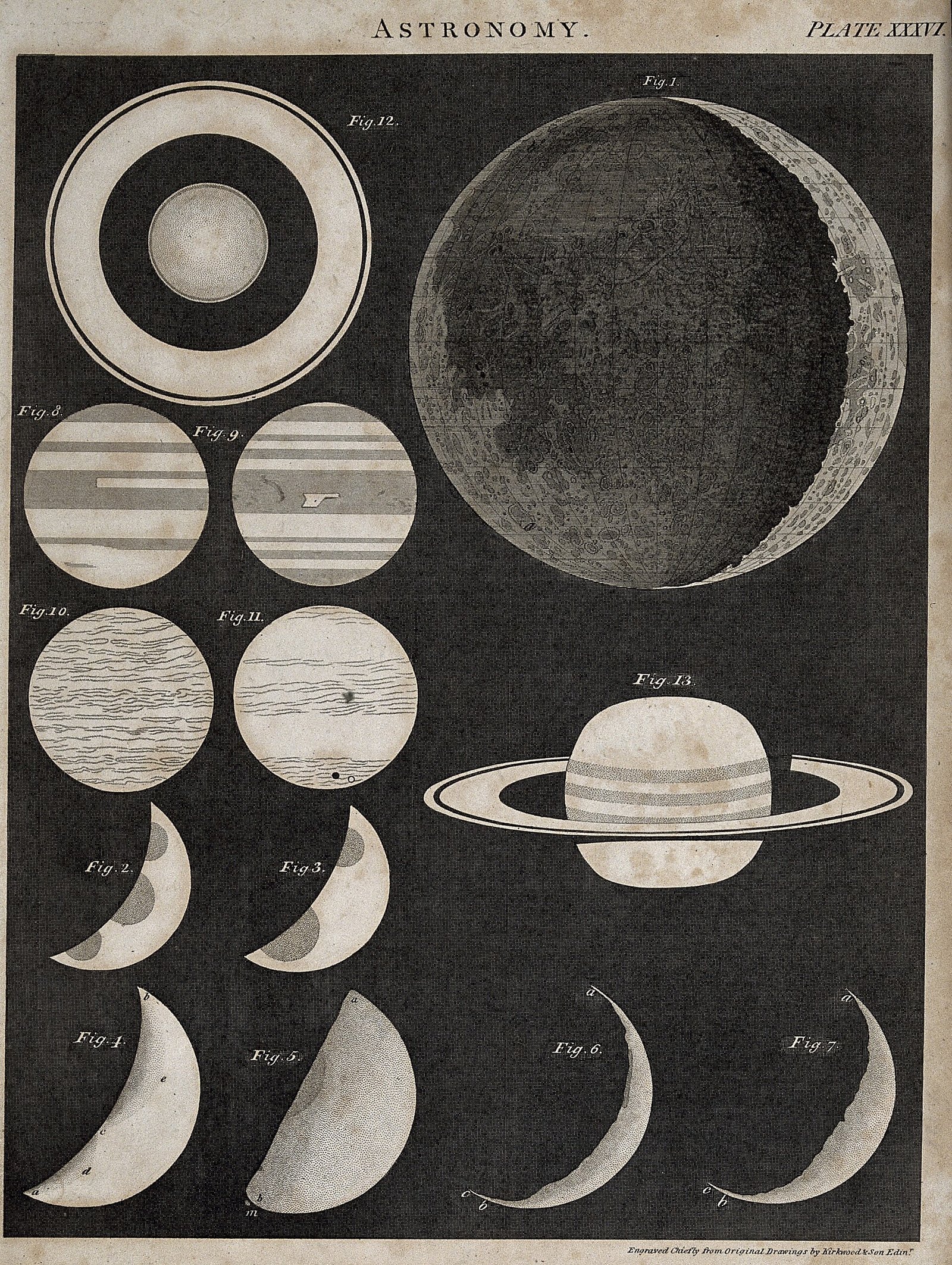 A diagram showing the eight phases of the Moon arranged in a circle around the Earth.