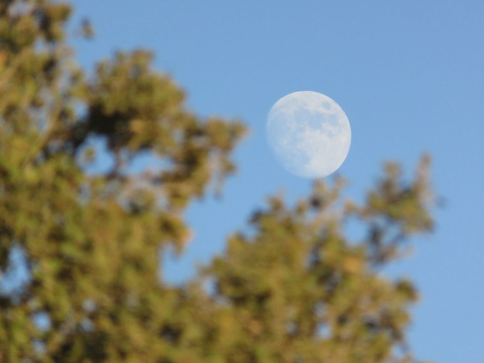 A waning crescent moon photographed in daylight against a pale blue sky.